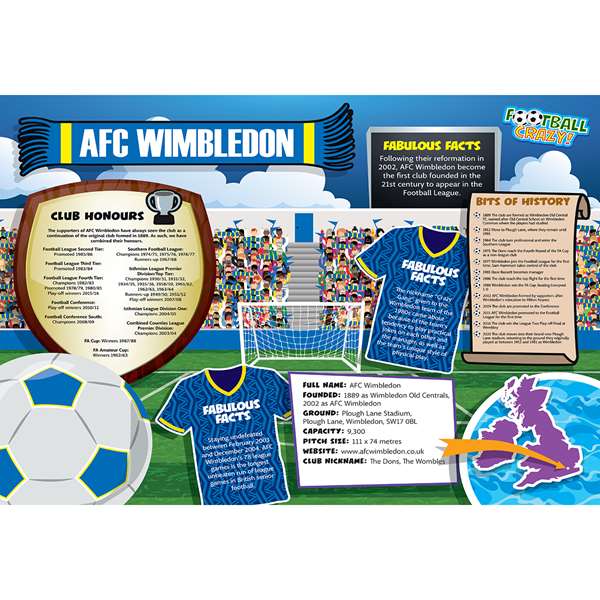 FOOTBALL CRAZY AFC WIMBLEDON (CRF400)